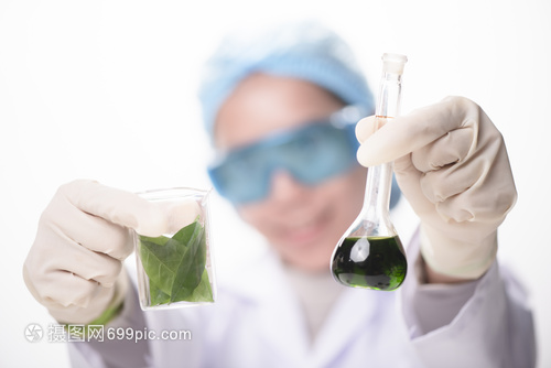 科学家手握绿叶实验室的璃小杯里生物技术